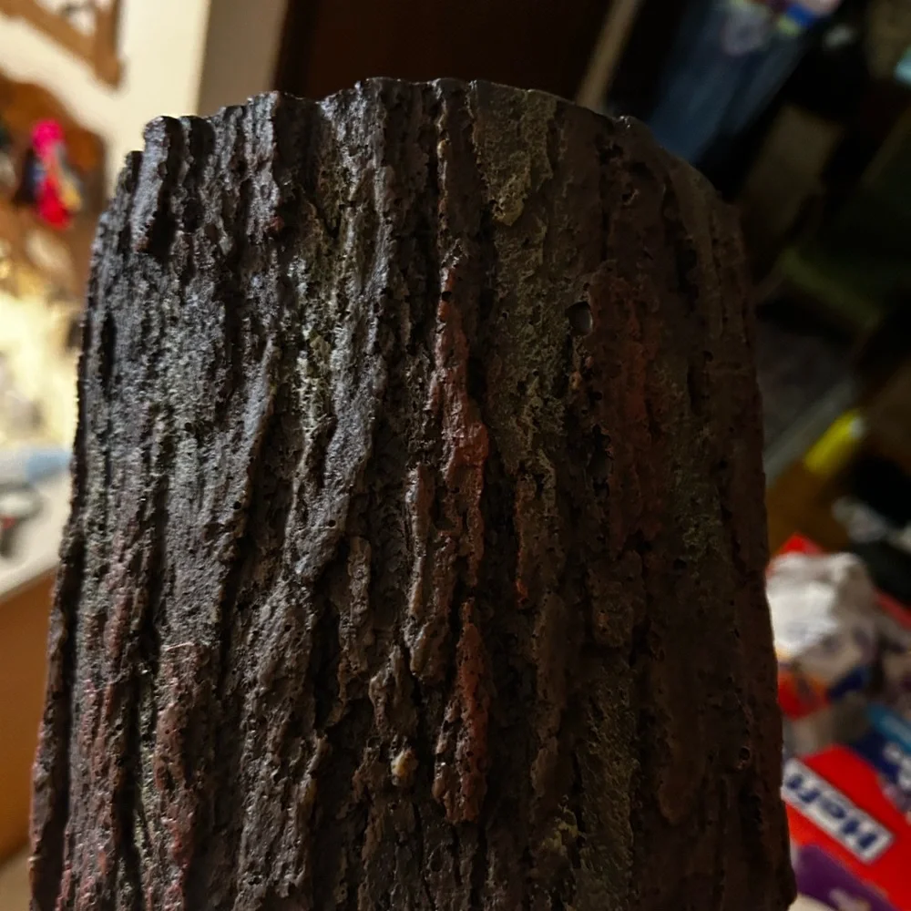 Naturalistic Reptile Habitat Log